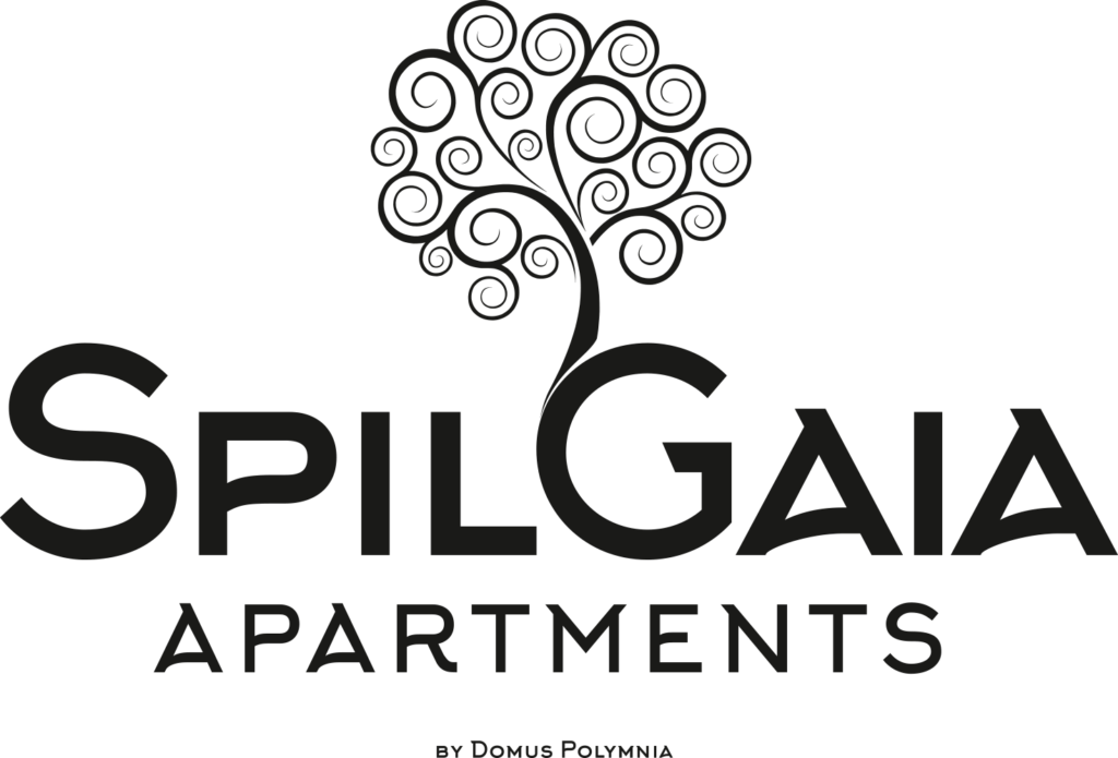 Spilgaia website preview
